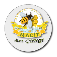 arı-çifliği-ico-01